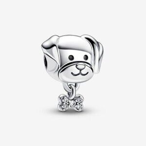 Pandora charms